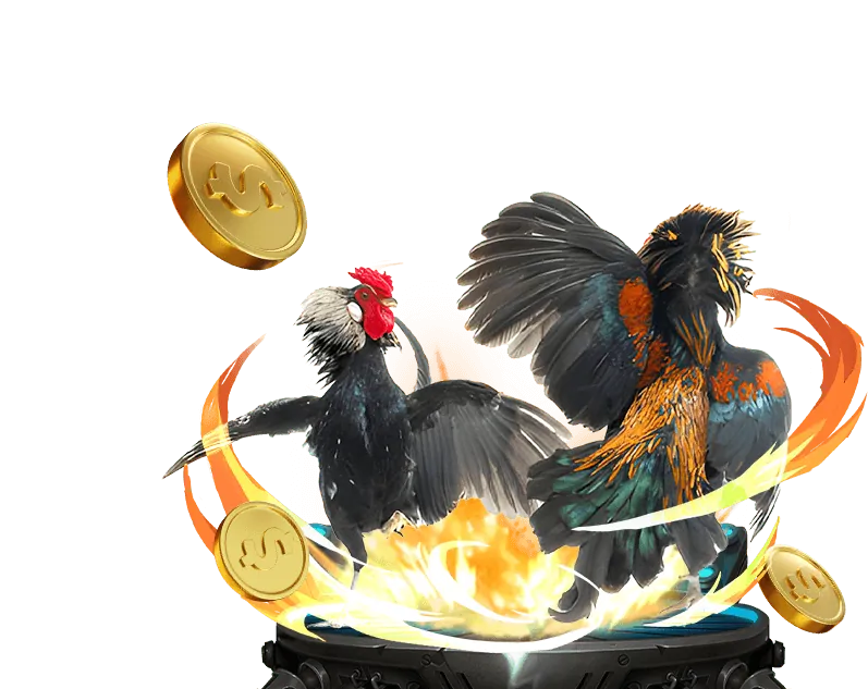 Các lựa chọn cá cược đá gà trực tuyến phong phú trên ranvip win